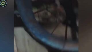 Fail Compilation: The Most Hilarious Clips of the Month