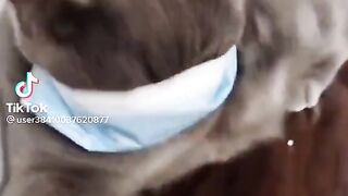 Funy video.