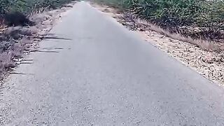 Heart touching music .