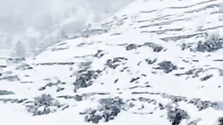 Kashmir snowfall