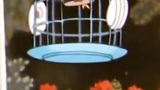 Tom & Jerry