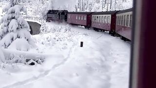 A scenic train journey in the Harz National Park | Lower Saxony ????????