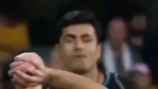 Cutting amazing catch cricket lover also watch this video # febspot # viral