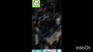 Cricket