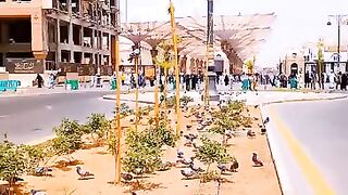 I love madina