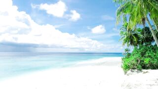 An attractive and heart touching scene of  beach
