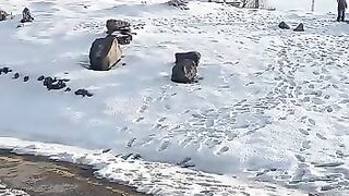 snowfall in kashmir