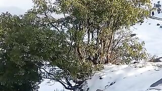 heavy snowfall in kashmir