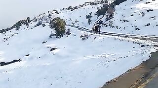 kashmir
