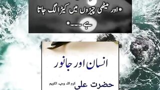 Quotes in urdu.short febspot
