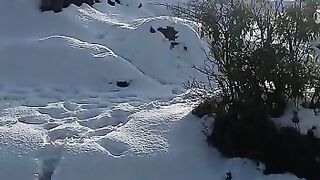 snowfall kashmir