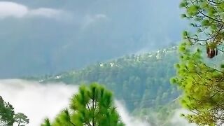 Beautiful Hazara