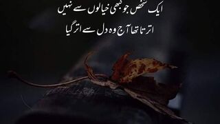 Tere naam sab kuchh fida hai Jani
