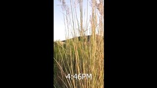 Beautiful Sunset and Moon Islamabad-Nature, Sun, Moon WhatsApp status
