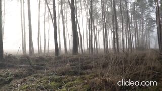 Forest nature