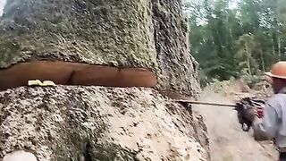 Big Wood Tiktok oldougs 1978