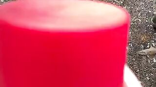 Car Halloween Decor Tiktok dylanf3x