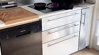 Cat In The Kitchen Tiktok albaromyy