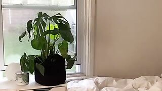 Daily Vlog tiktok shannonoliveer