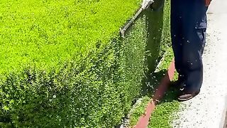 Gardening In Sombrero Tiktok victormg32