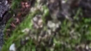 Germany Waterfall tiktok kagerermichael