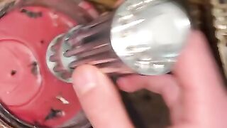 Laser Vs Candle Tiktok beastlaser com
