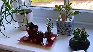 Morning Routine tiktok harpelizabeth