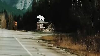 Mount Robinson Park Tiktok mxbertrand