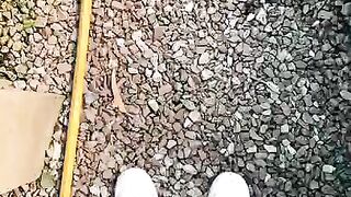 Plant Shopping Tiktok thesheetsway