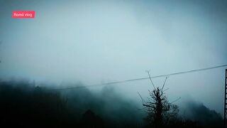 Rainy and foggy day .