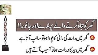 Ghar Ko Tabha Karny Waly Parinday or Janvar