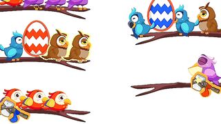 Bird sort color level 41