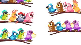 Bird sort color level 42