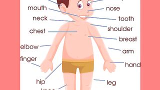 Parts of body name☺