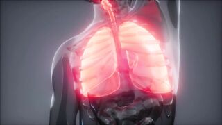 Human lungs 3D animation