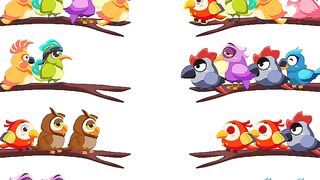Bird sort color level 43