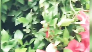 My first vlog. my first vlog on febspot. My first vlog viral on febspot. My first vlog today. My first vlog today 2023. Best my first vlog. t