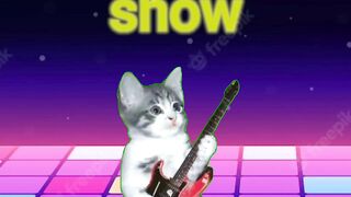 Cat play guitar cartoon