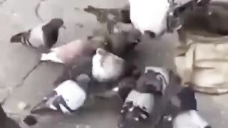 Your Food granted by ALLAH