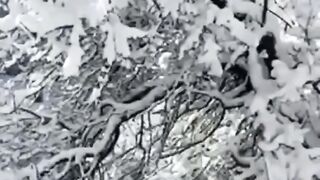south Waziristan snow#amazing snow#short video.