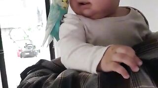 Cute baby with parrot
