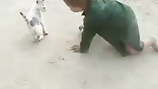 Baby vs cat.