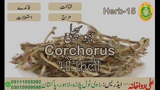 Bho Phalli (bhon phali) || بھو پھلی || भो फली || 00923111033392 || 00923015959598 || Ali Dawakhana