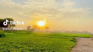 Beautiful village view in Punjab ????| Village scene