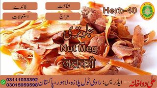 Jalvatri || جلوتری || जलवाटरी || 00923111033392 || 00923015959598 | Ali dawakhana | Hakeem Ali Waqas
