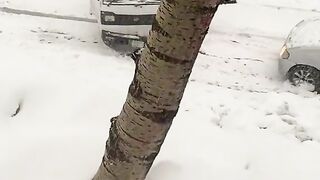 Weather
