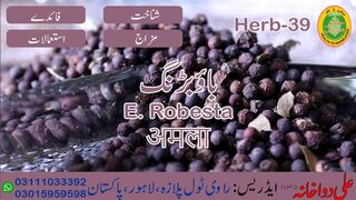 Bao Baring(E Robesta) || باؤ بڑنگ || वा वारिंग || 00923111033392 || 00923015959598 || Ali Dawakhana