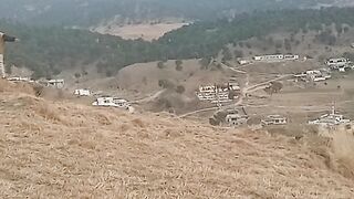 Kashmir butey