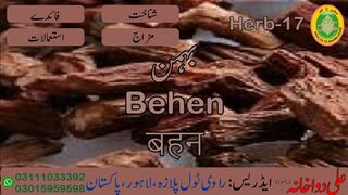 Behman Surkh(behen) || بہمن سرخ || बहमन सुर्ख || 00923111033392 || 00923015959598 || Ali Dawakhana