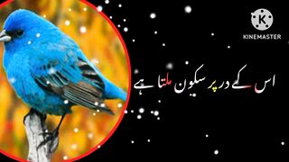 Urdu quotes